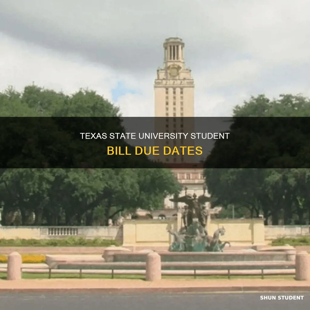when is my student bill due at texas state university