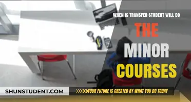 When Transfer Students Tackle Minor Courses: Timing and Strategies