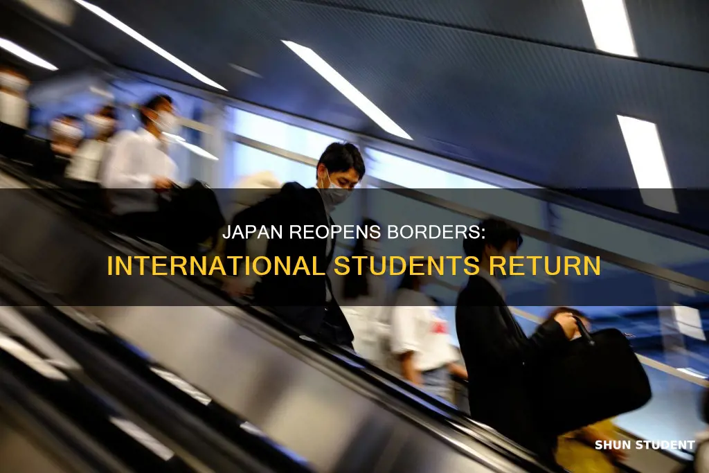 when japan open border for international students