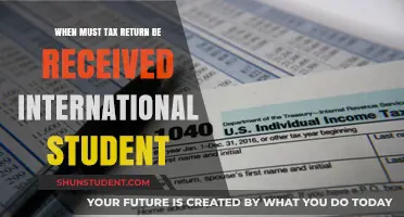 International Students: Tax Return Submission Deadlines