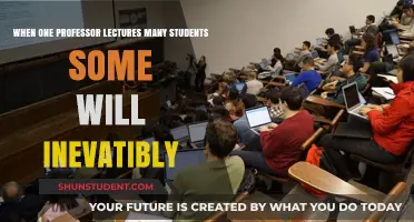 One Lecture, Many Learners: Why Some Students Inevitably Fall Behind