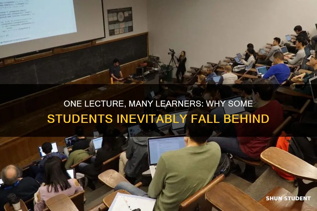 when one professor lectures many students some will inevatibly