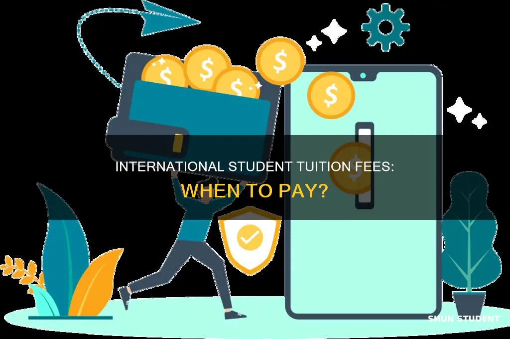 when pay tuition fee as international student