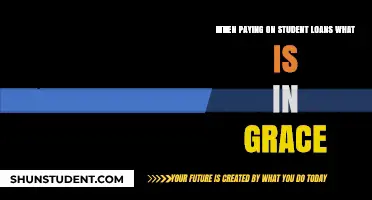 Understanding Grace Periods for Student Loan Payments
