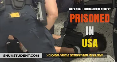 International Students: Navigating US Prison System