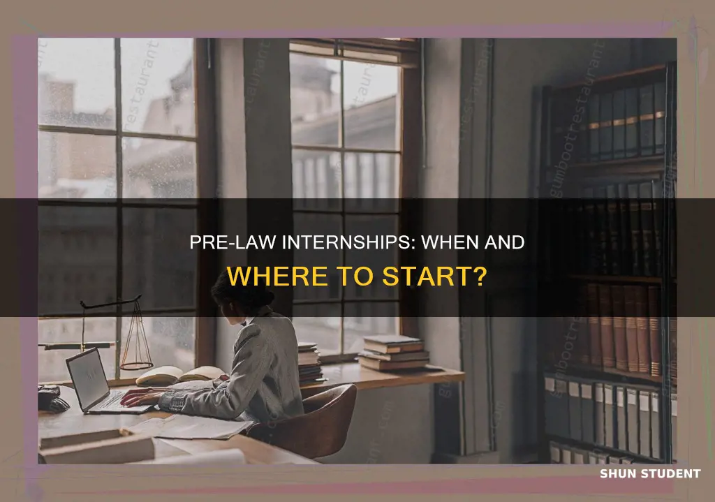 when should i intern as a pre law student