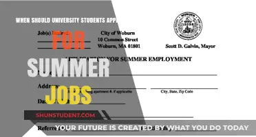 Summer Job Hunt: University Students' Timeline