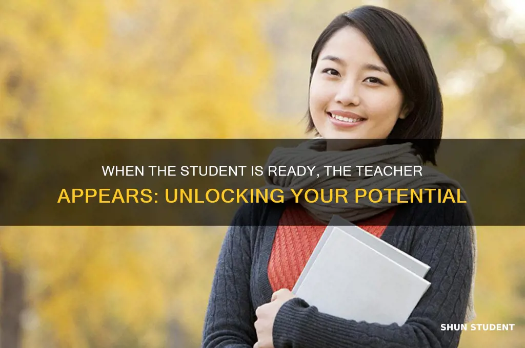 when student is ready teacher apppears