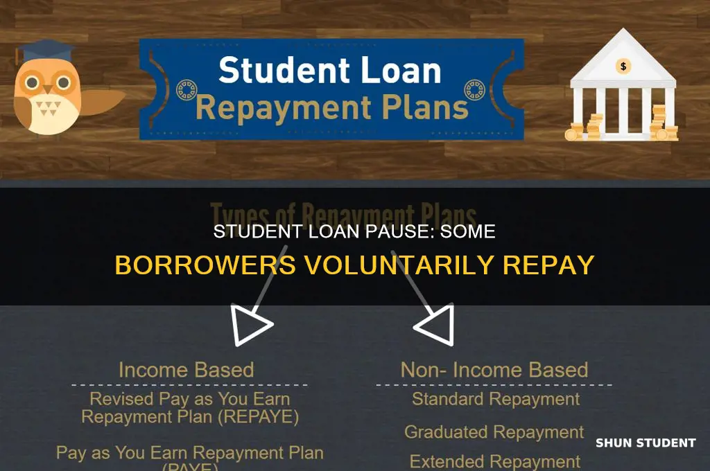 when student loan debt paused these borrowers kept paying