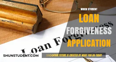 Navigating the Student Loan Forgiveness Application Process: A Comprehensive Guide
