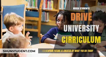 Students' Steering Power: University Curricula Revolution