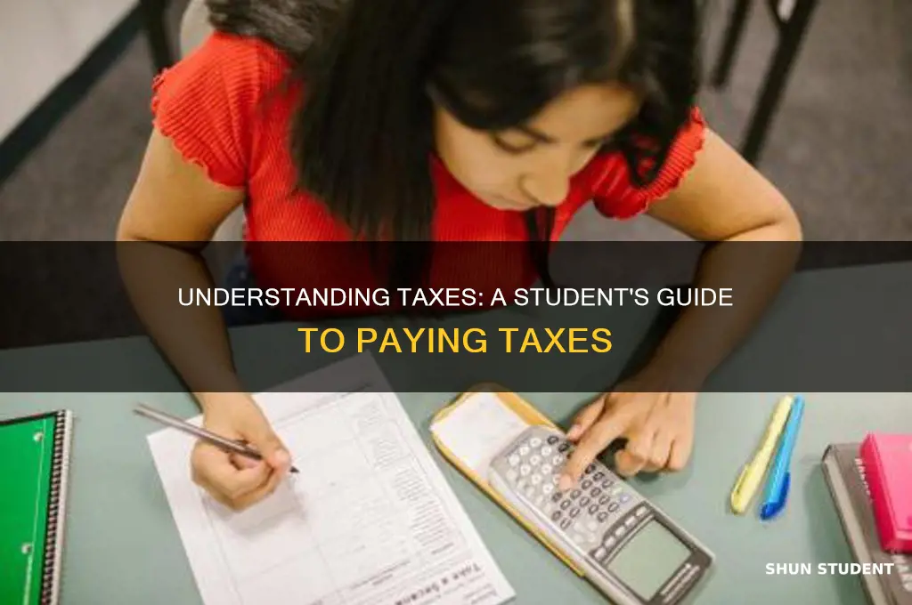 when students have to pay taxes