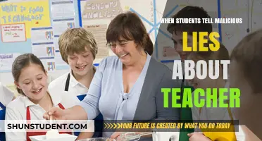 When Students Fabricate Malicious Lies: Impact on Teachers and Trust