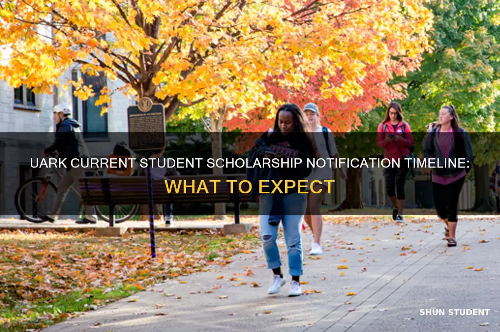 when students will be notified uark current student scholarship