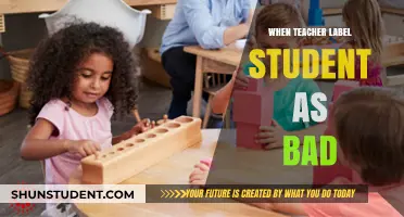 The Impact of Teacher Labels: When 'Bad' Defines a Student's Future