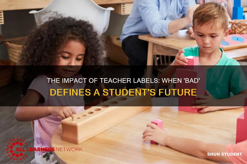 when teacher label student as bad