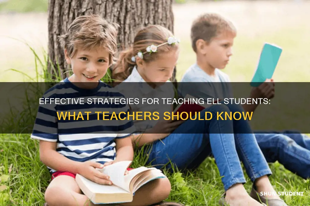 when teaching ell students teacher should