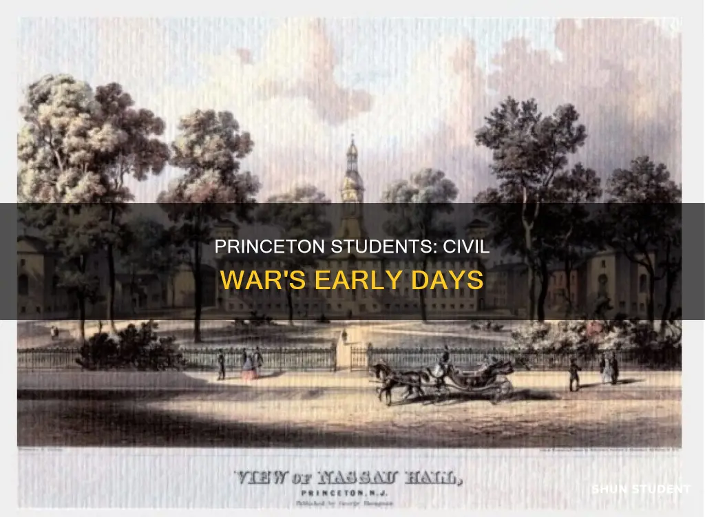 when the civil war began students at princeton university