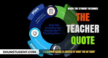When the Student Becomes the Teacher: Embracing the Cycle of Learning