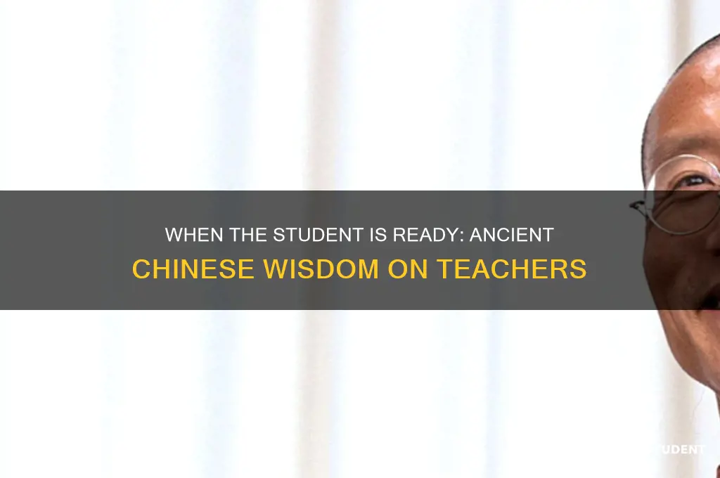 when the student is ready the teacher will appear chinese