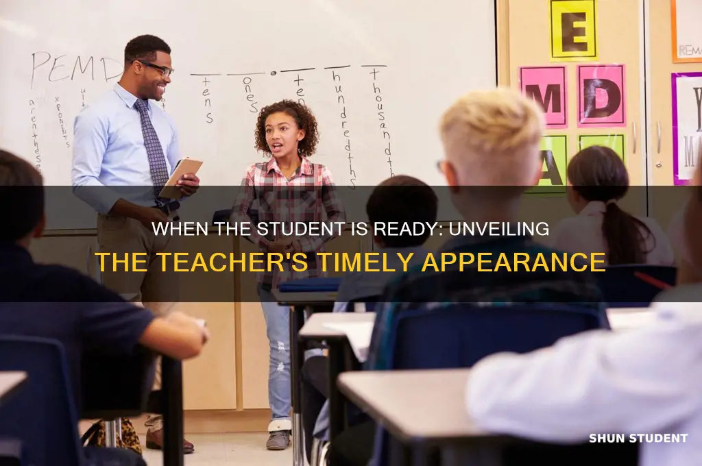when the student is ready the teacher will appear origin