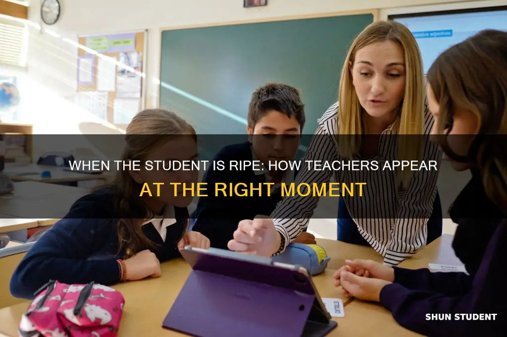 when the student is ripe the teacher appears