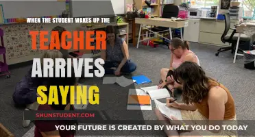 Awakening Moments: When Students Rise, Teachers Inspire and Guide