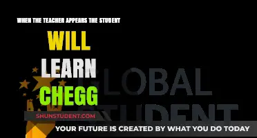 When the Teacher Appears: Unlocking Learning Potential with Chegg