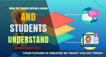 Effective Teaching: When Lessons Click and Students Truly Understand