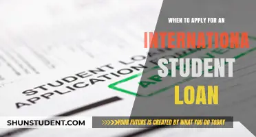 International Student Loans: Timing and Application Tips