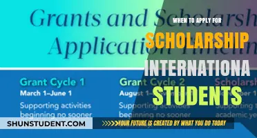 Scholarship Applications: Timing for International Students