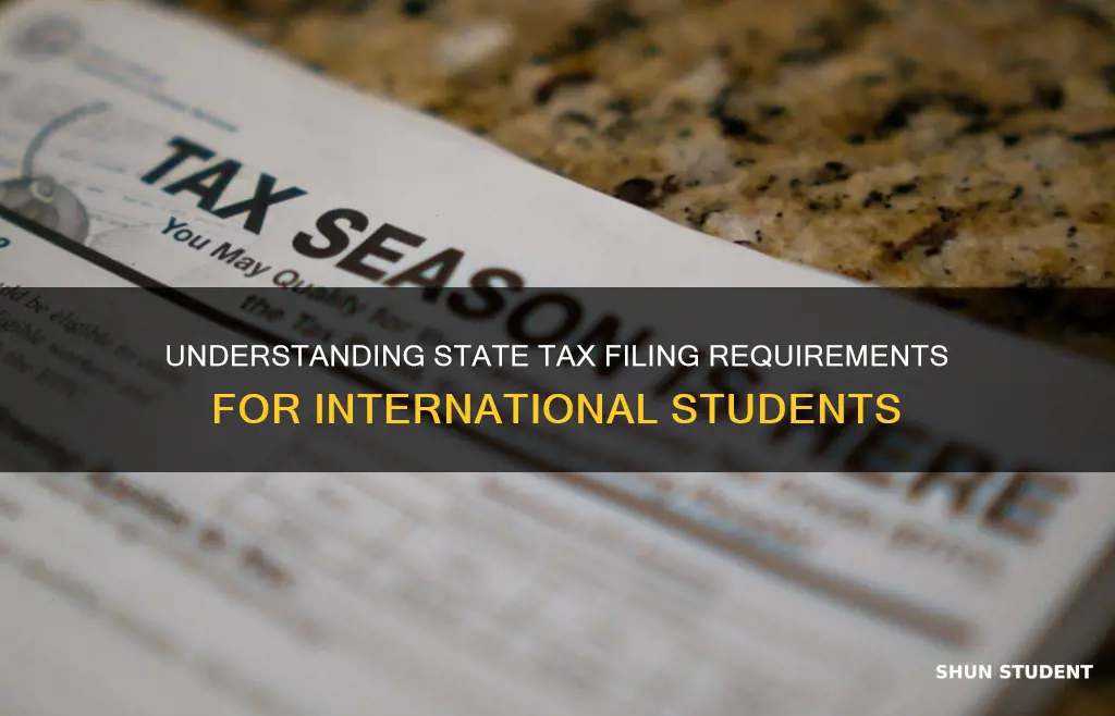 when to file state tax international student