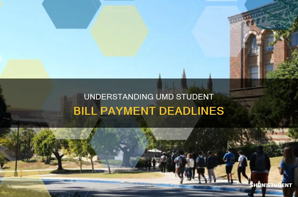 when to pay my student bill umd