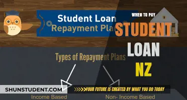Student Loan Payment Guide for New Zealanders