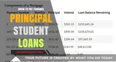 Principal Student Loan Payments: The Right Time to Start