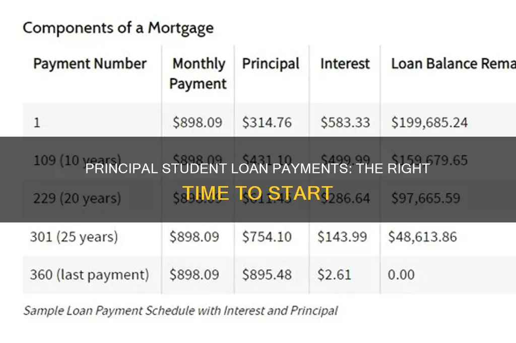 when to pay towards principal student loans