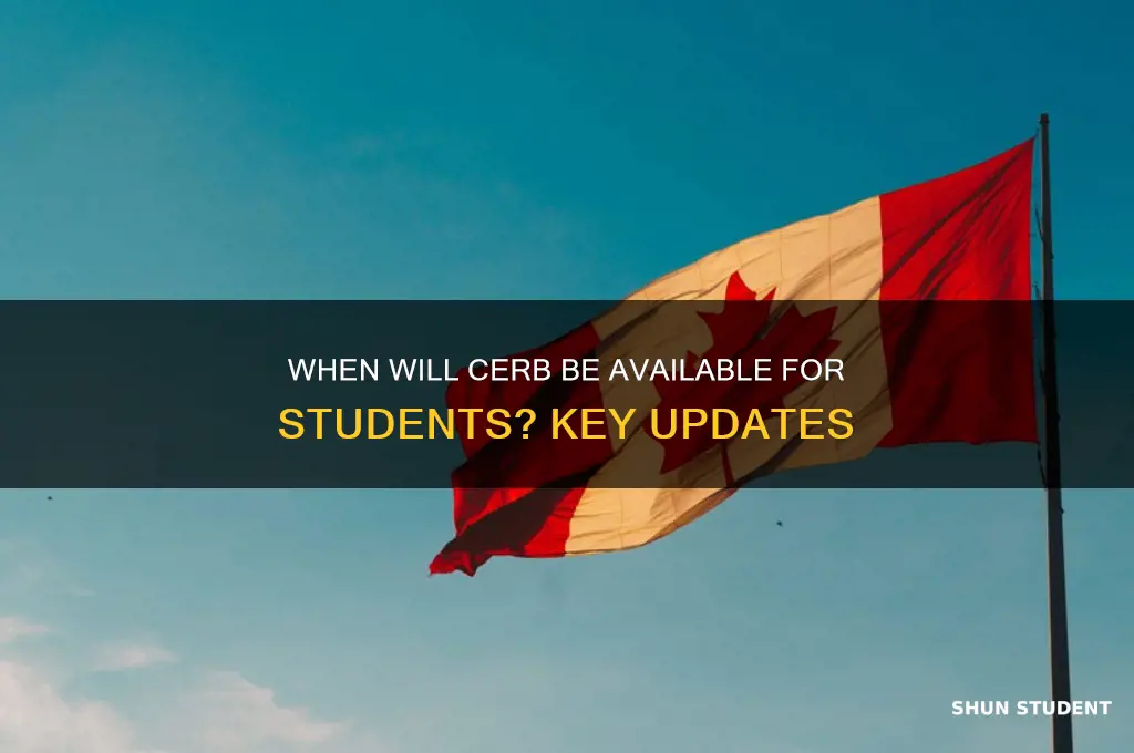 when will cerb be available for students