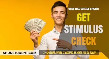 When Will College Students Receive Their Stimulus Check Payments?