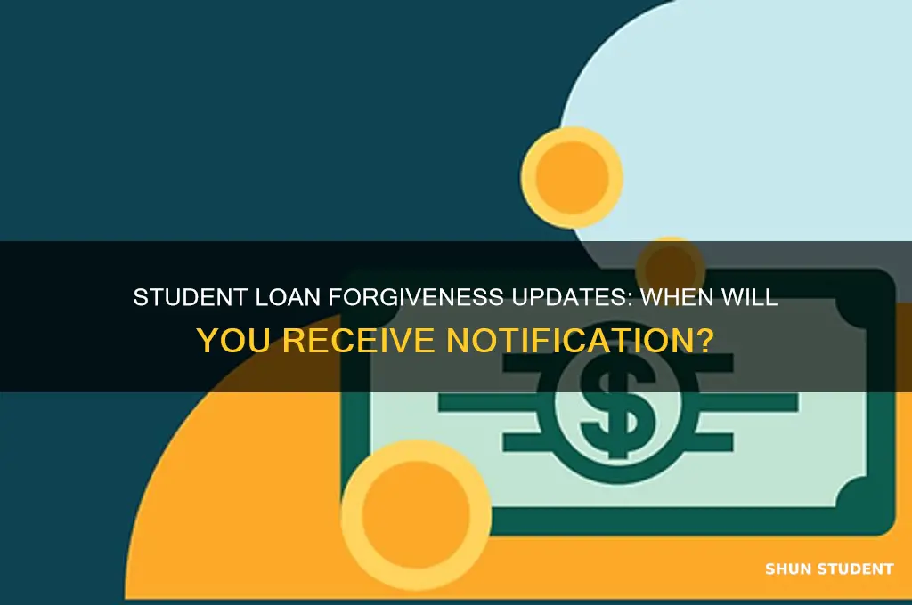 when will i be notified about my student loan forgiveness