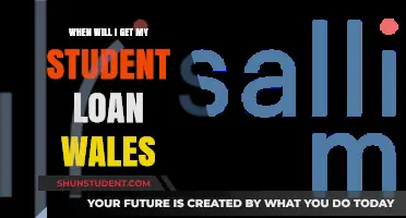 When Will Wales Student Loan Payments Arrive? A Complete Guide