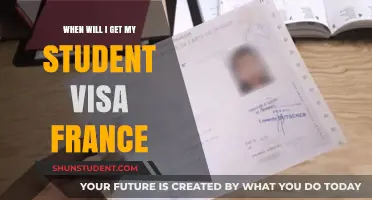When Will I Get My Student Visa for France?