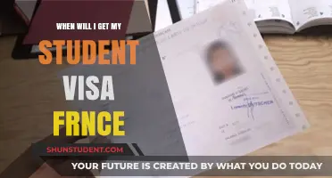 When Will I Get My Student Visa for France?