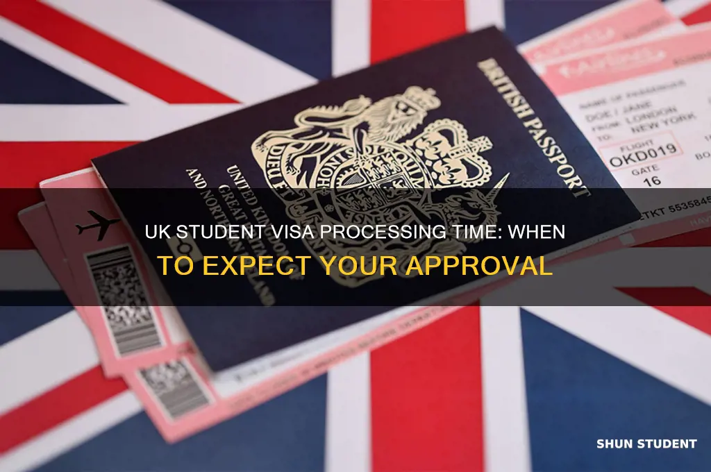 when will i get my uk student visa