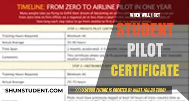 When Will I Get My Student Pilot Certificate: A Timeline Guide
