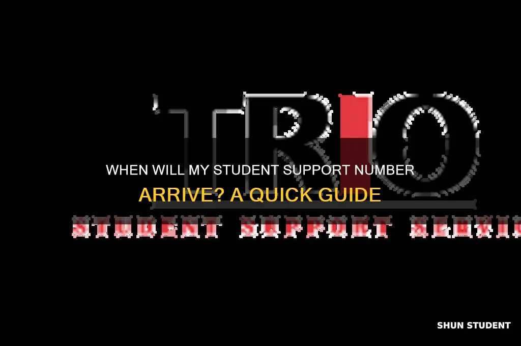 when will i receive my student support number