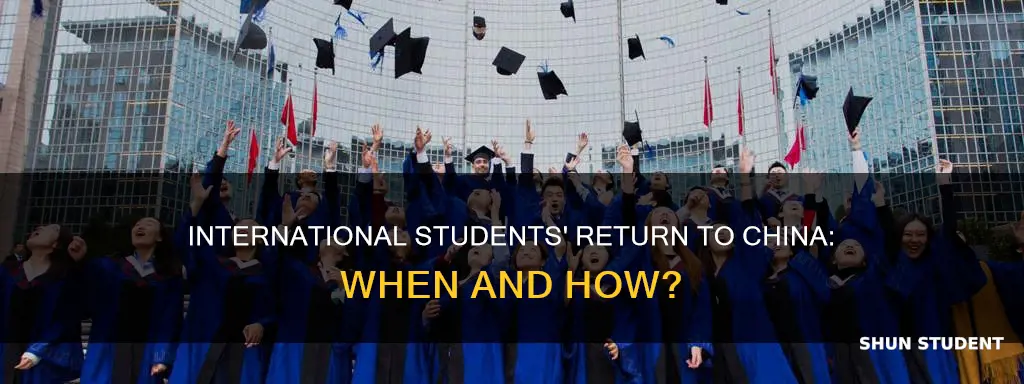 when will international students return to china
