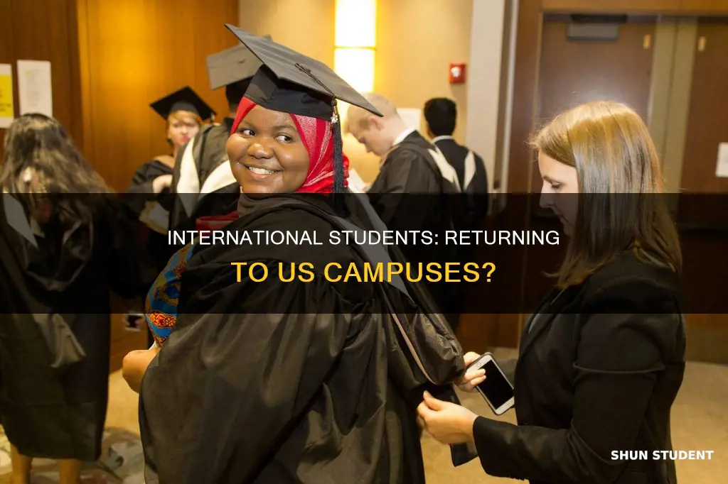 when will international students return to us