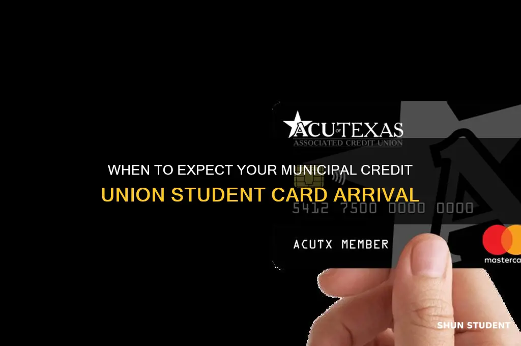 when will my municipal credit union student card arrive