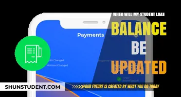 When Will My Student Loan Balance Update? A Borrower's Guide