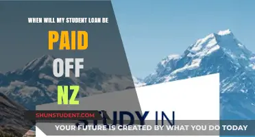 NZ Student Loan Payoff Timeline: When Will You Be Debt-Free?